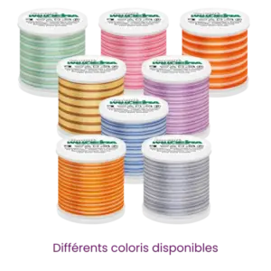 Fils Ć broder Machine RAYON 40 MULTICOLOR - 200m