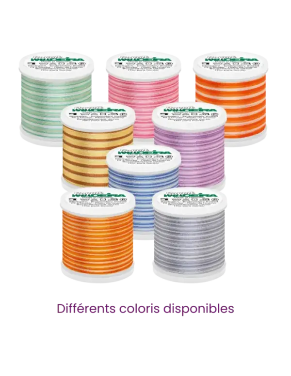 Fils à broder Machine RAYON 40 MULTICOLOR - 200m