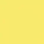 343 Pastel Yellow