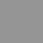 3672 Grey Mouse