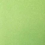 1141 neon green
