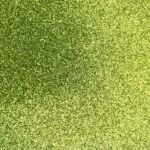 1191 lime green