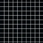 1651 Squares