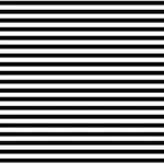 1656 Stripes